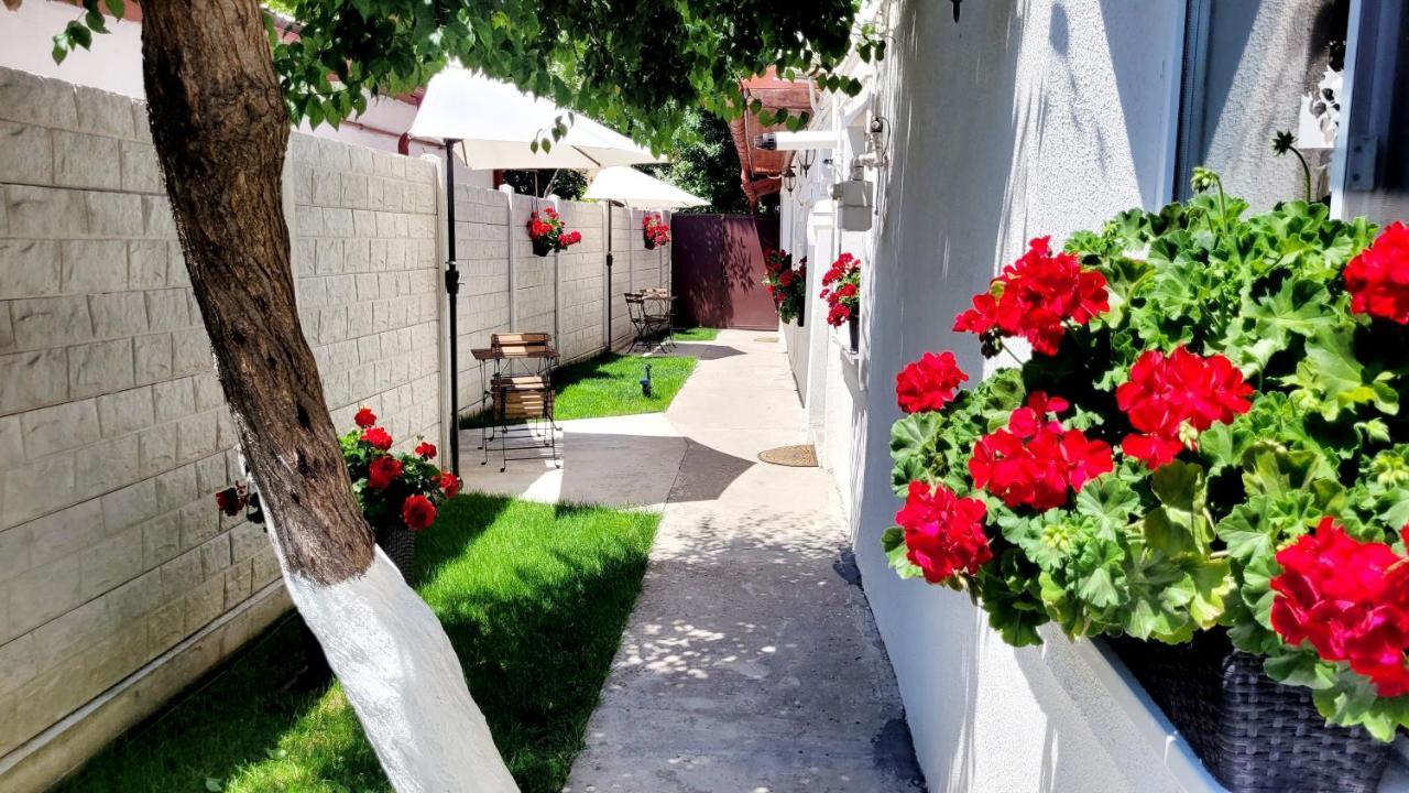Rose Garden House Apartment Букурещ Екстериор снимка